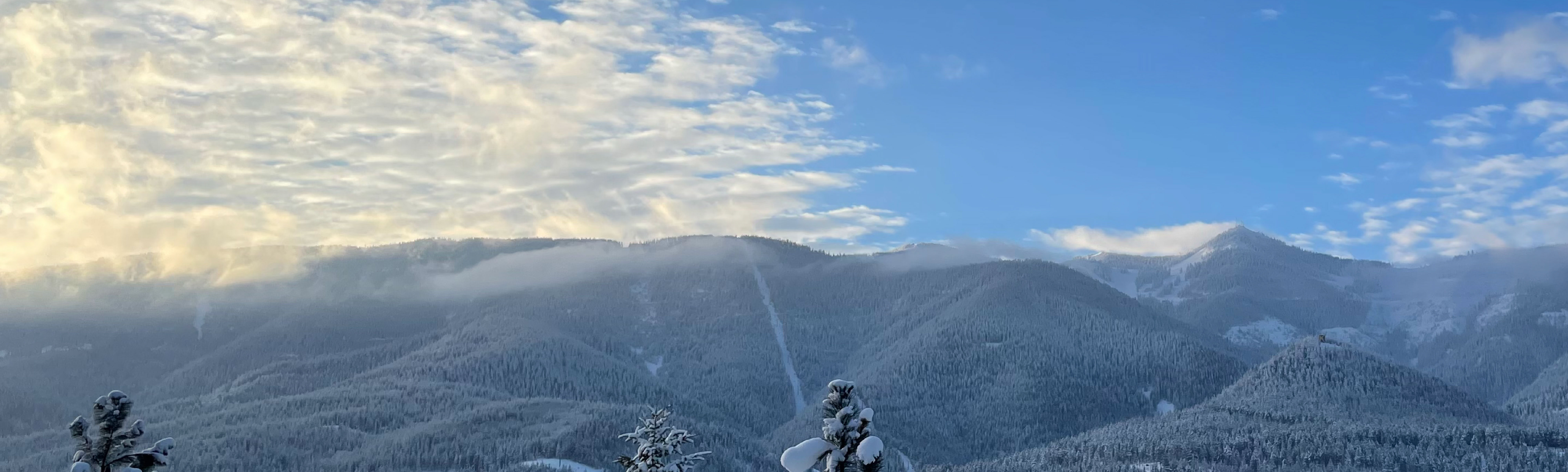 Silver Mountain Employment