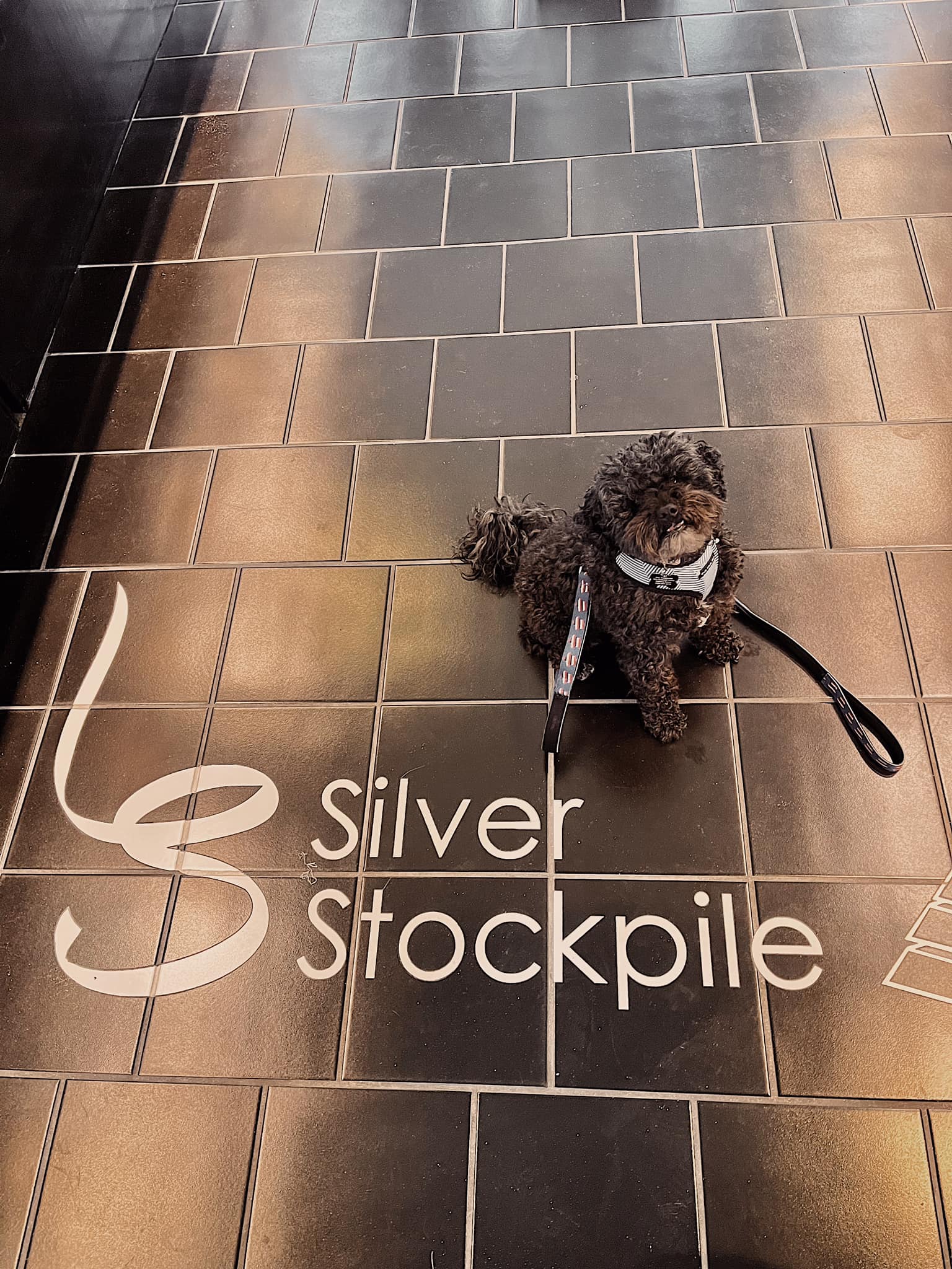 Silver Stockpile Jewelry in Bethany Beach, DE