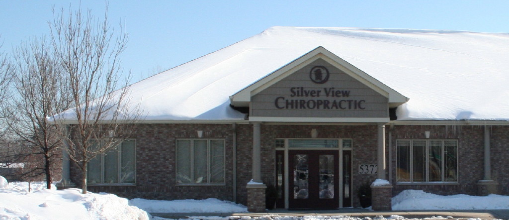 About Silver View Chiropractic Center
