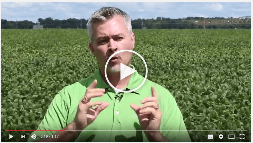 Price Flex Insurance Protects Crop Revenue at the Highest Value