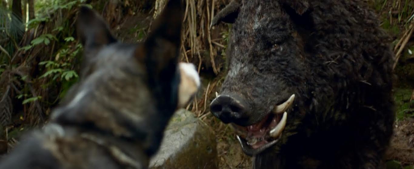 Hunt for the Wilderpeople (2016) Movie Reviews Simbasible