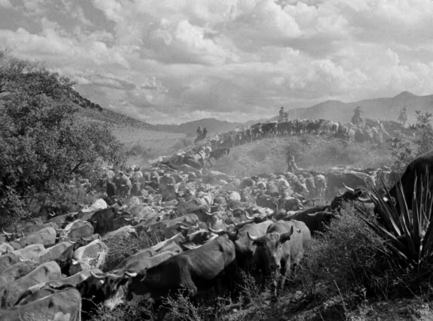 Red River Movie Review Movie Reviews Simbasible