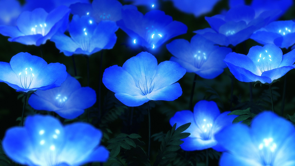 Maquia When the Promised Flower Blooms (2018) Movie Reviews Simbasible