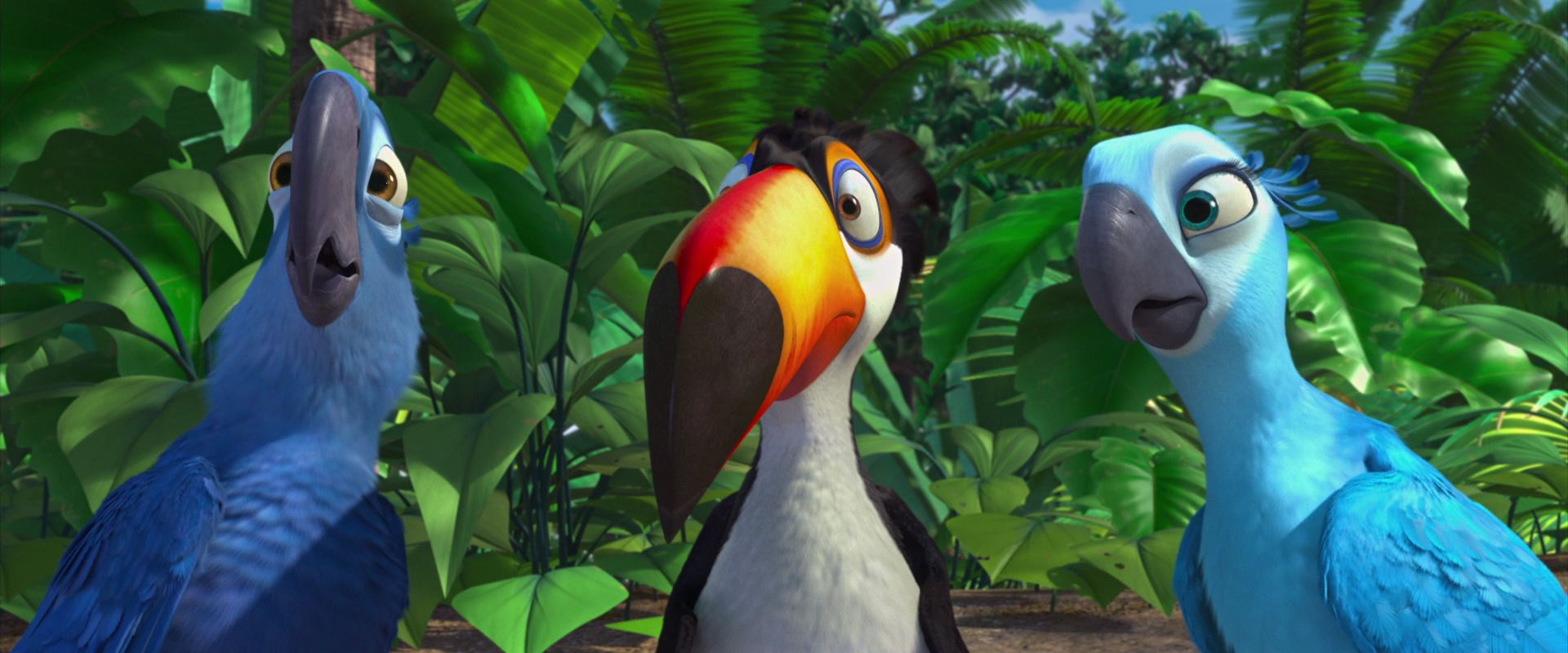 Rio (2011) Movie Reviews Simbasible