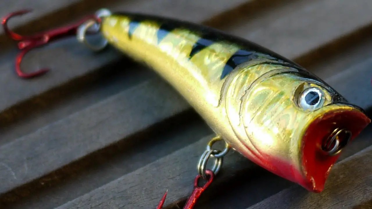 Angeln mit Popper Simfisch.de Angeln und Outdoor!