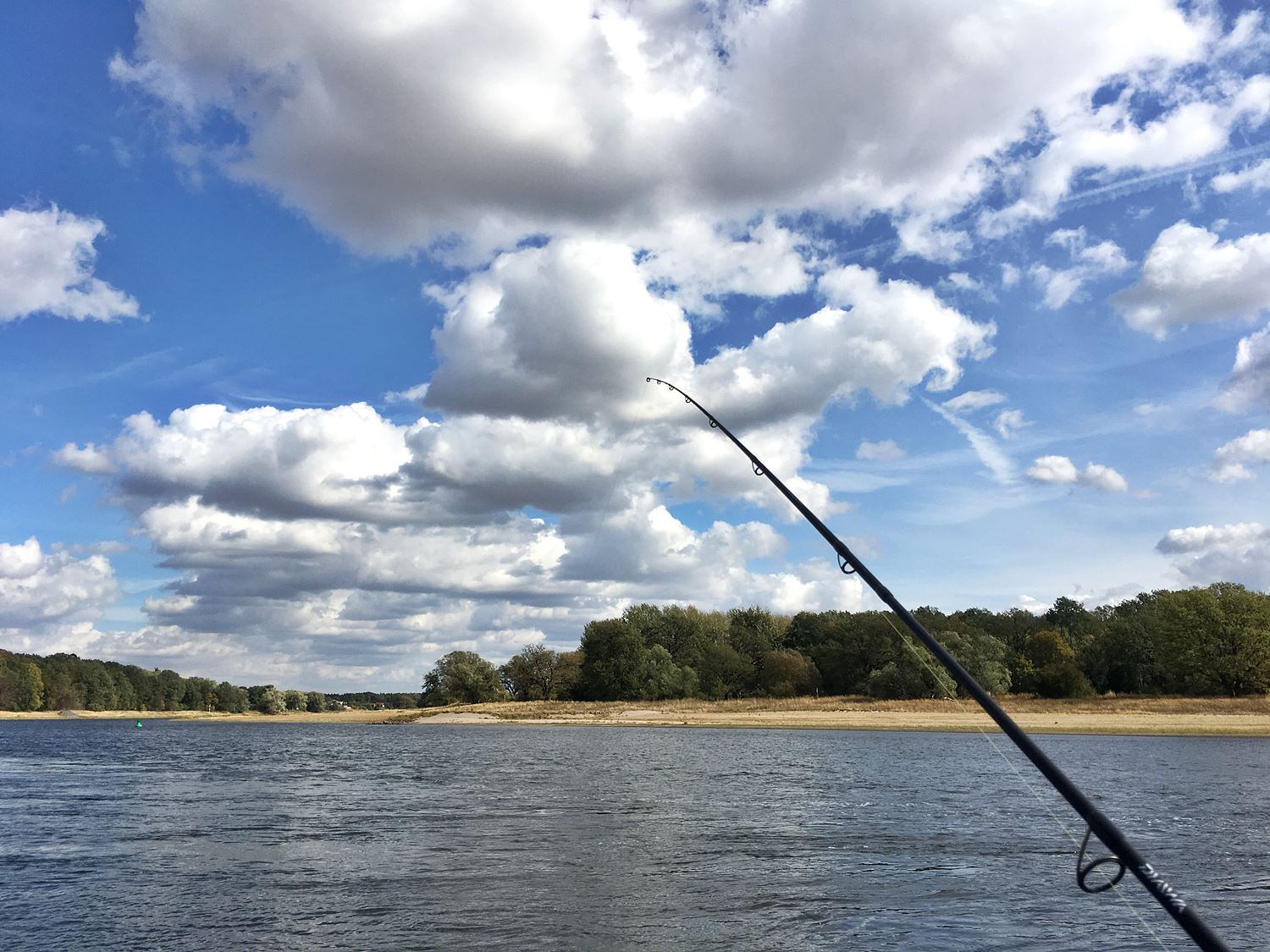 Angeln ohne Angelschein in Deutschland Simfisch.de
