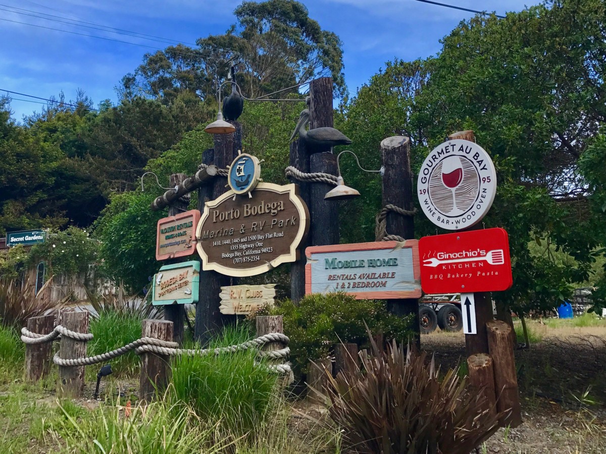 What to see in Northern California Bodega Bay, The Birds movie locations