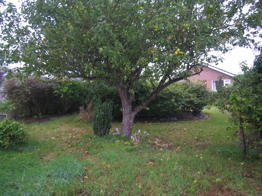 3bedroom bungalow for sale in Moorlands Drive, Shirley, Solihull