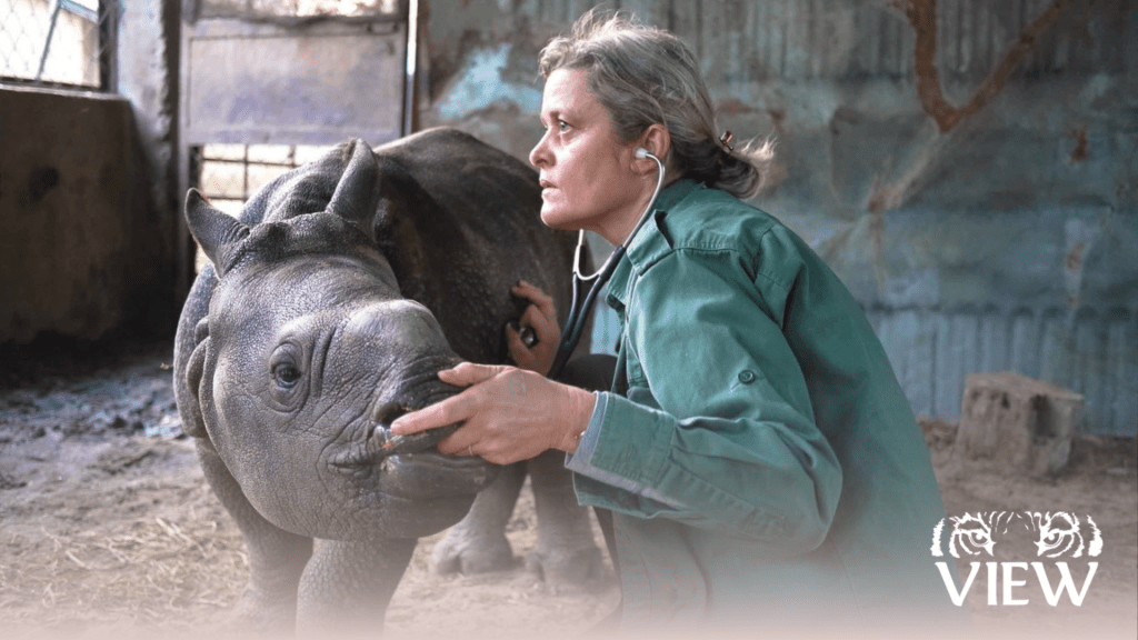 Meet Dr Deborah McCauley, Founder of VIEW The Simone Awards