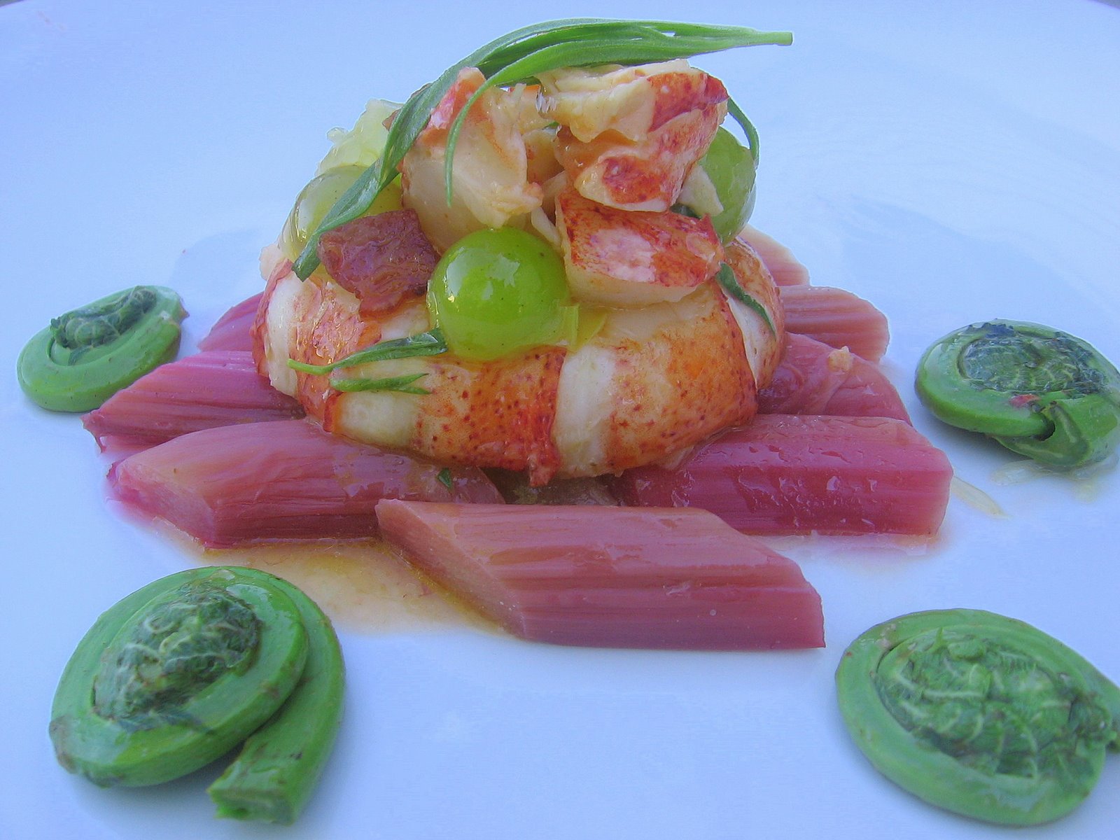 WFD? Warm Lobster Salad with Rhubarb, Fiddleheads, and Bacon Simple Bites