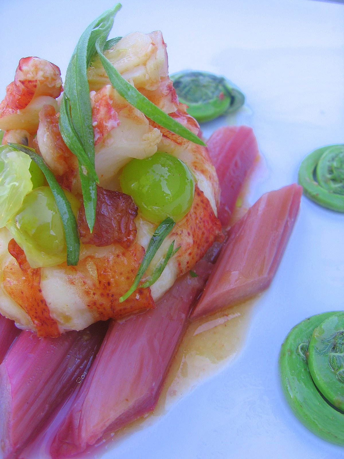 WFD? Warm Lobster Salad with Rhubarb, Fiddleheads, and Bacon Simple Bites