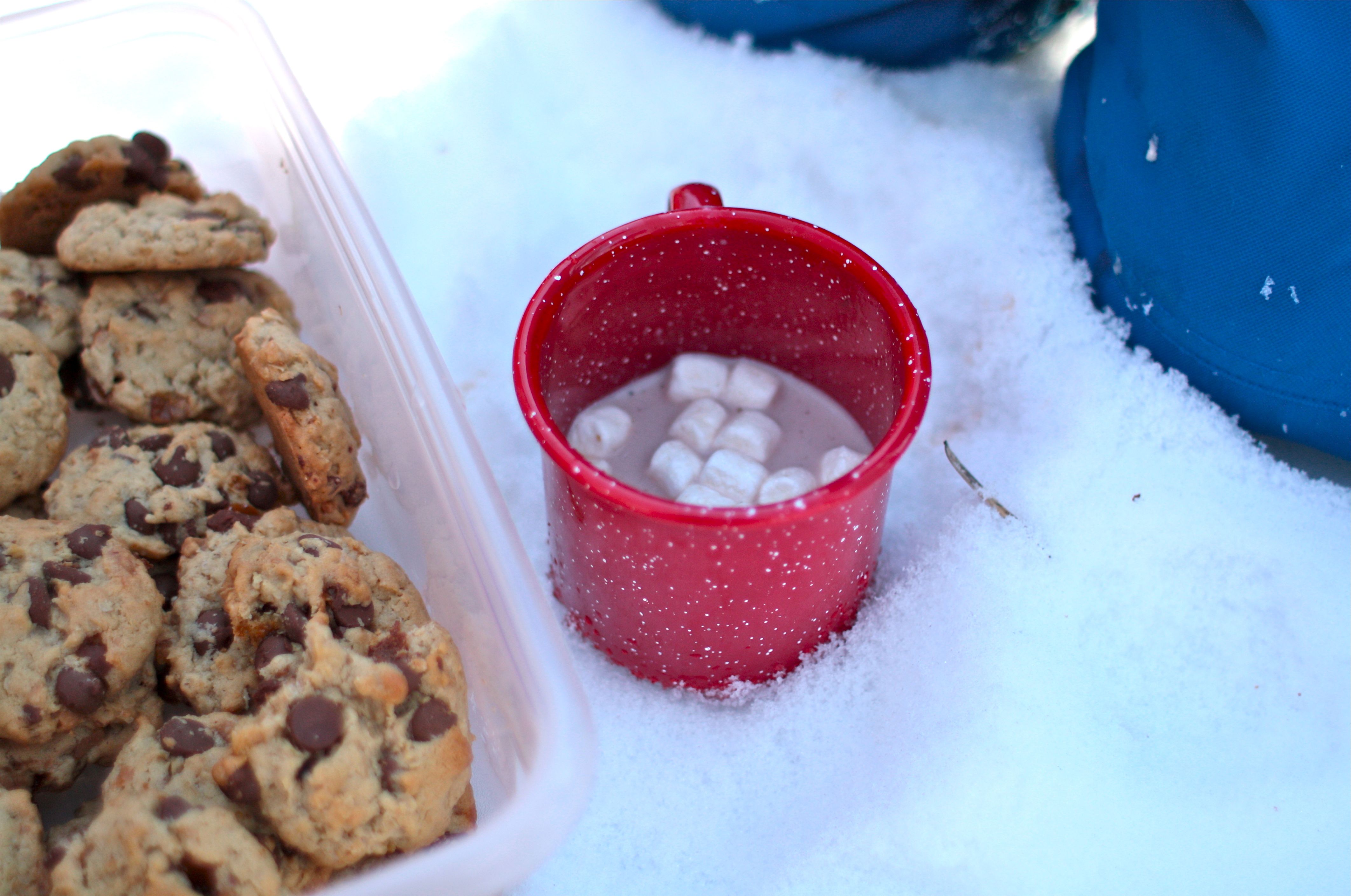 Ideas and Tips for a Winter Picnic in the Snow