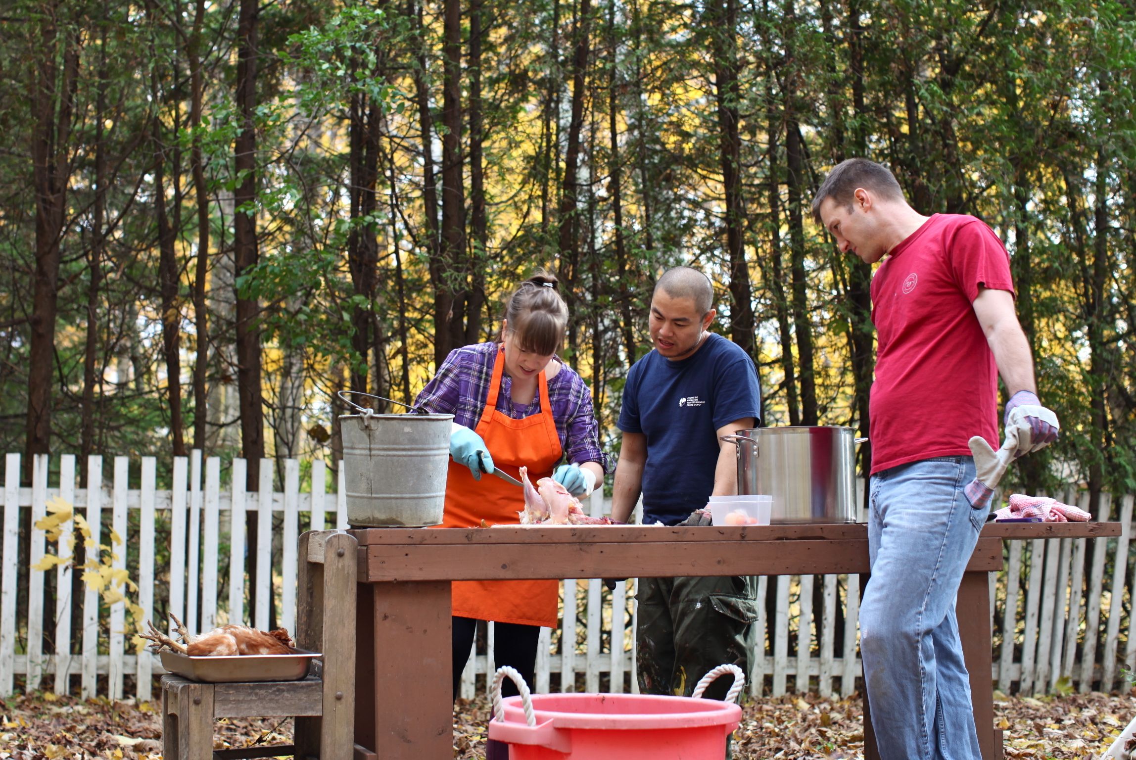 Our fall chicken harvest Simple Bites