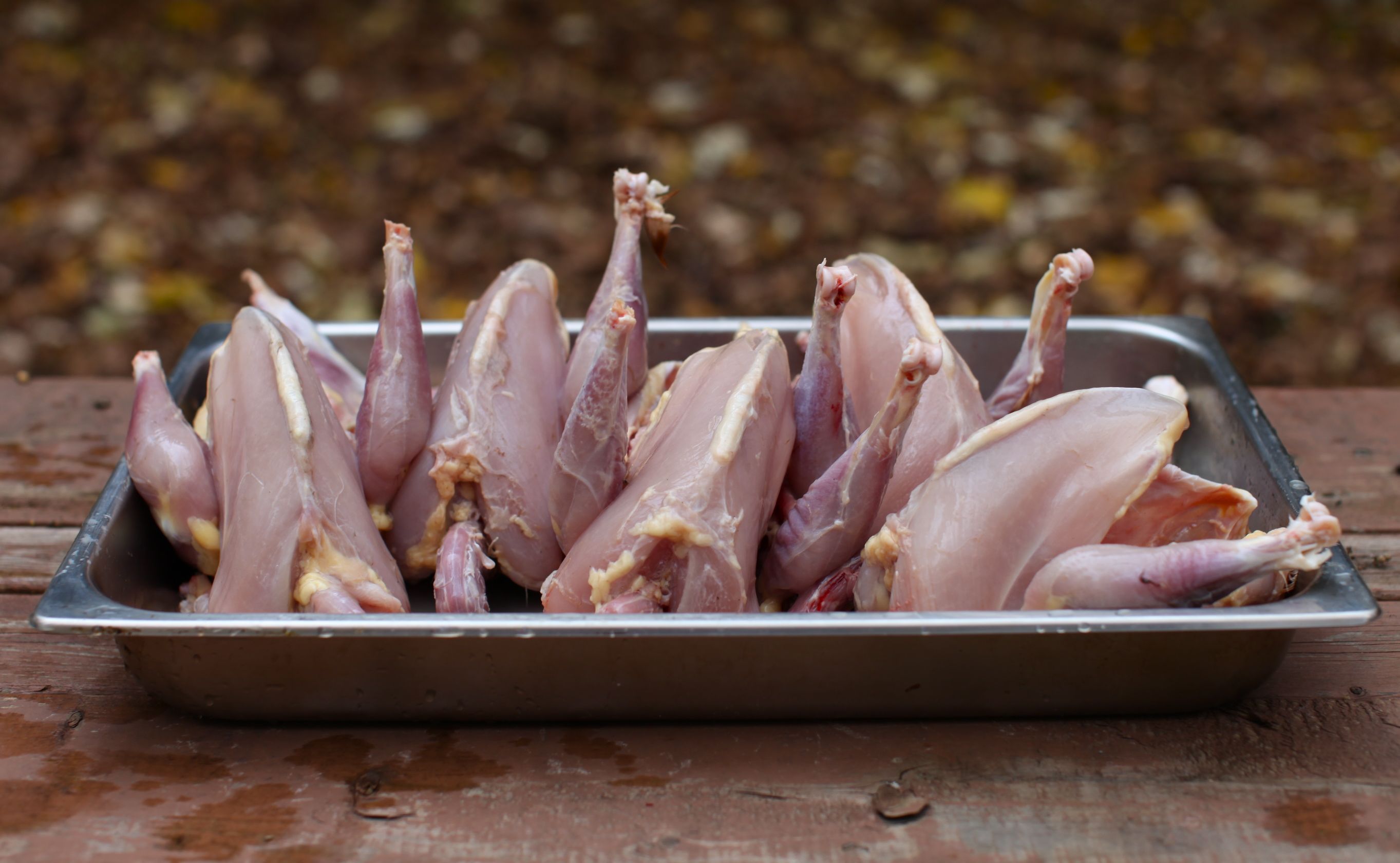 Our fall chicken harvest Simple Bites