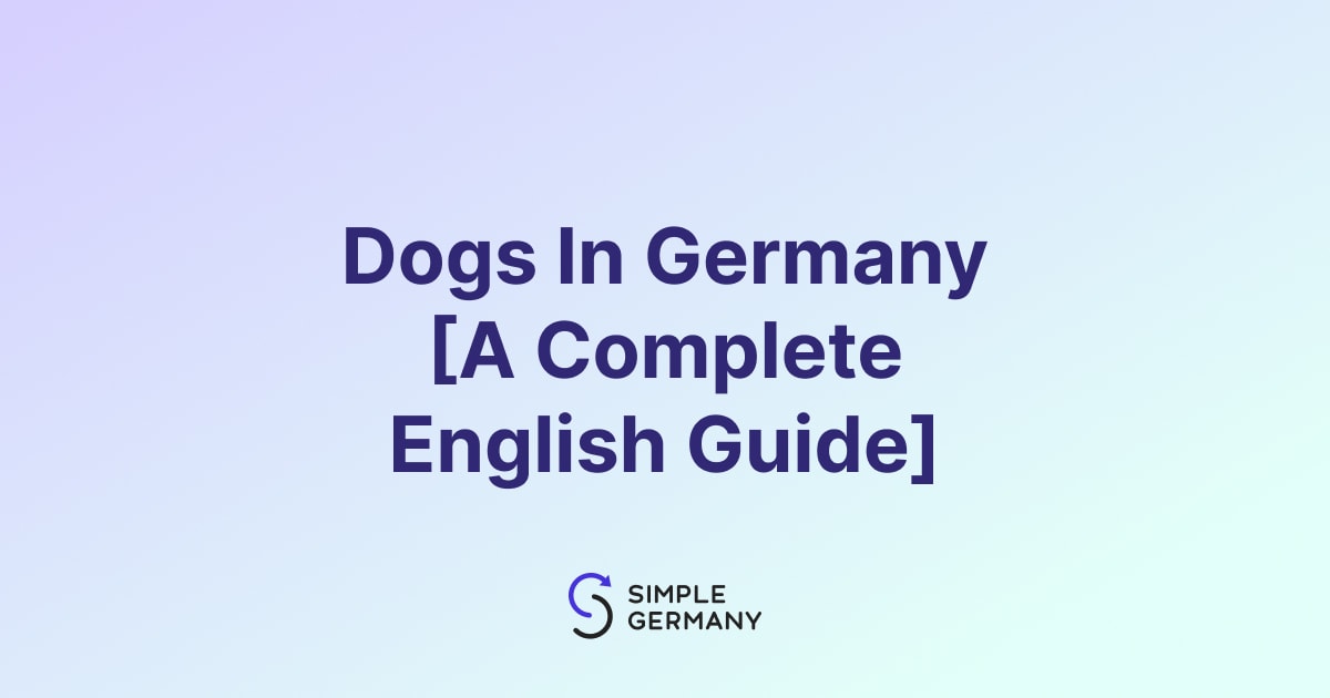 Dogs In Germany [Lifestyle, Rules & Regulations]