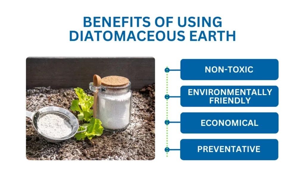 Does Diatomaceous Earth Kill Fleas? Simple Pest Management