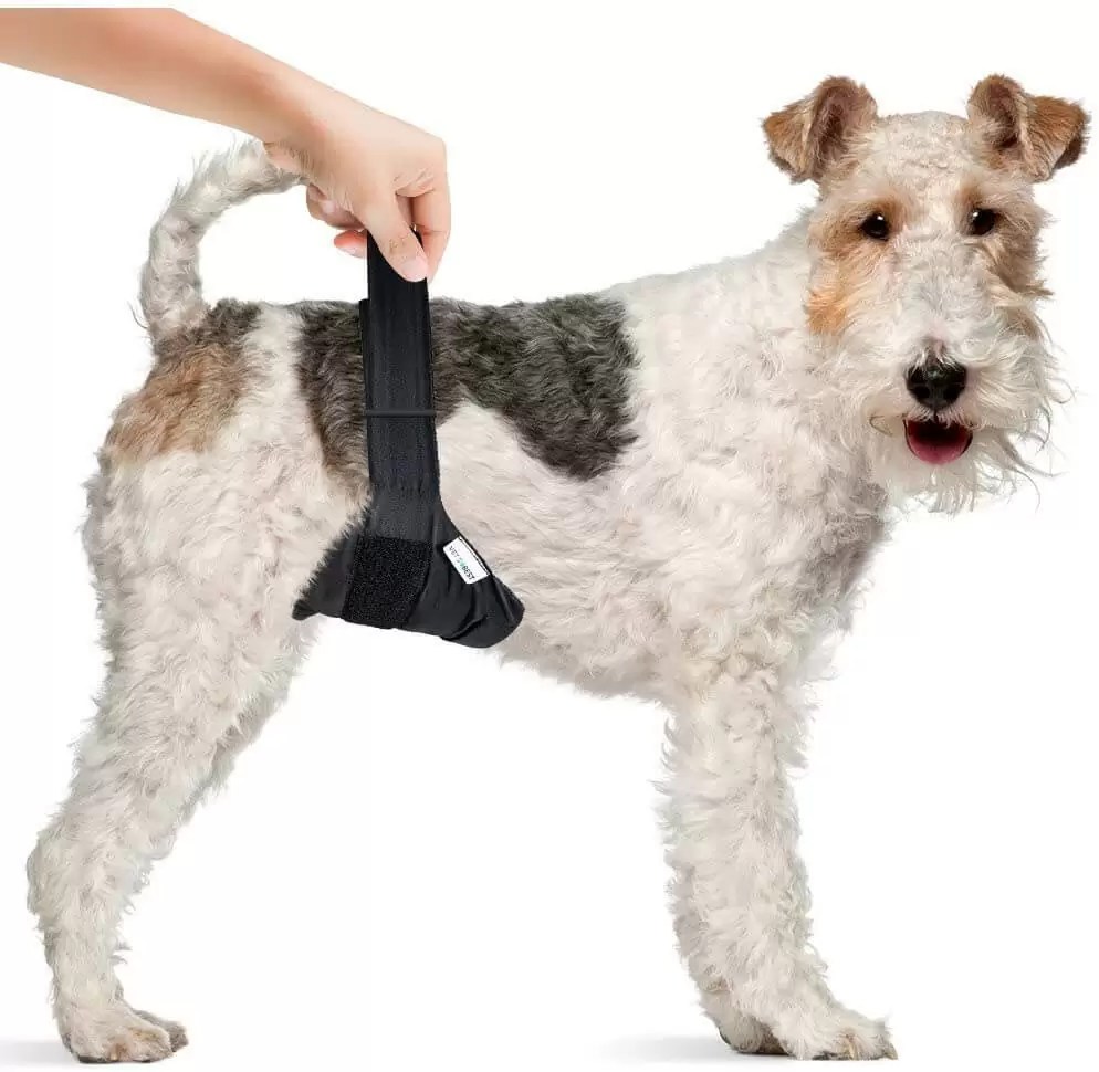 Vet’s Best Washable Male Dog Wraps (S/M) MannaPro