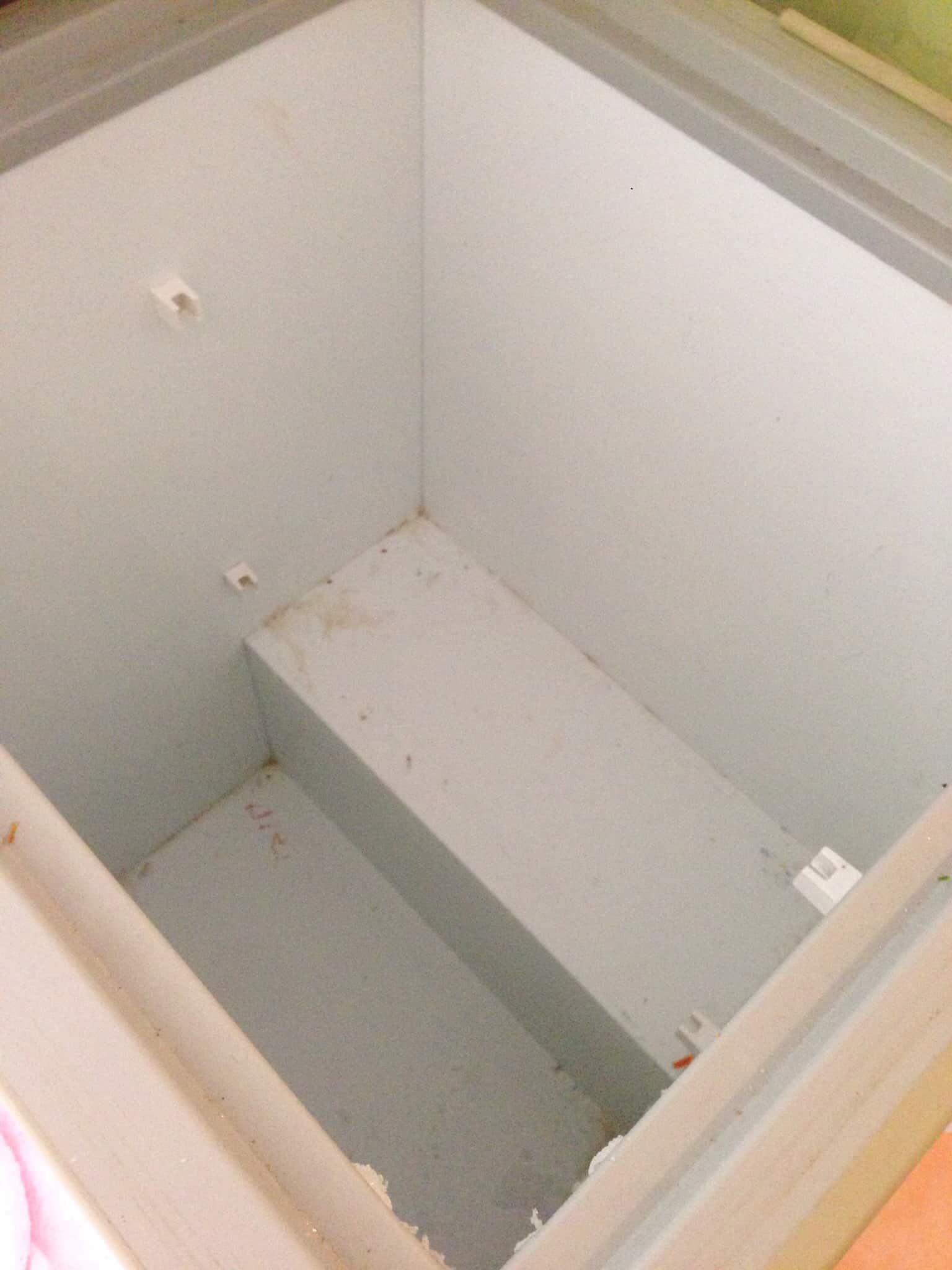 Defrost Your Freezer Fast Simplify Create Inspire