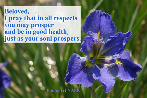 Encouraging Bible Verses page 11