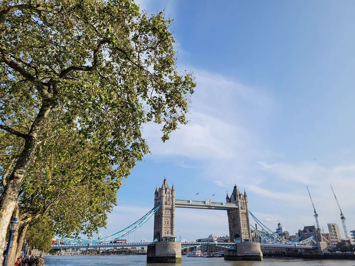 View of Tower Bridge from across the river.