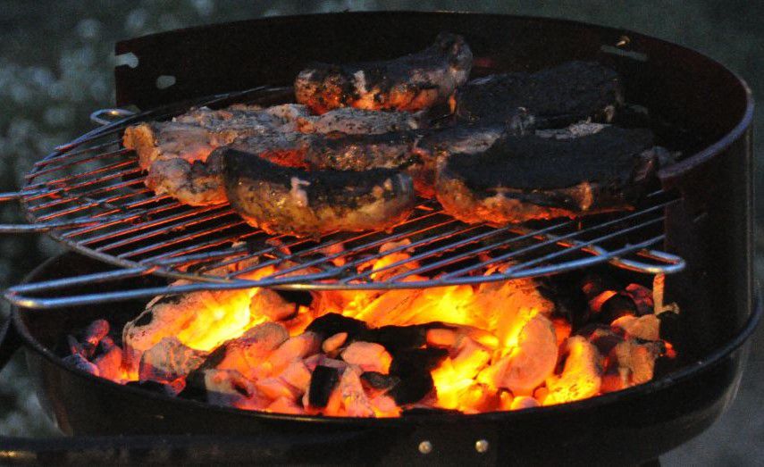 Charbon de bois pour Barbecue l SimplyFeu