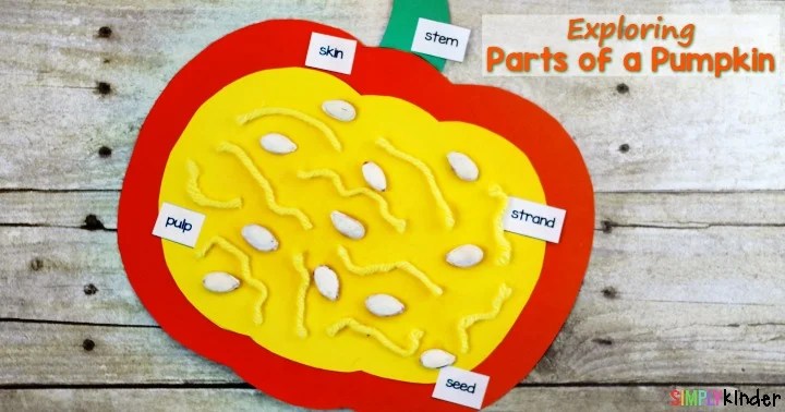 Parts of a Pumpkin Exploration - Simply Kinder