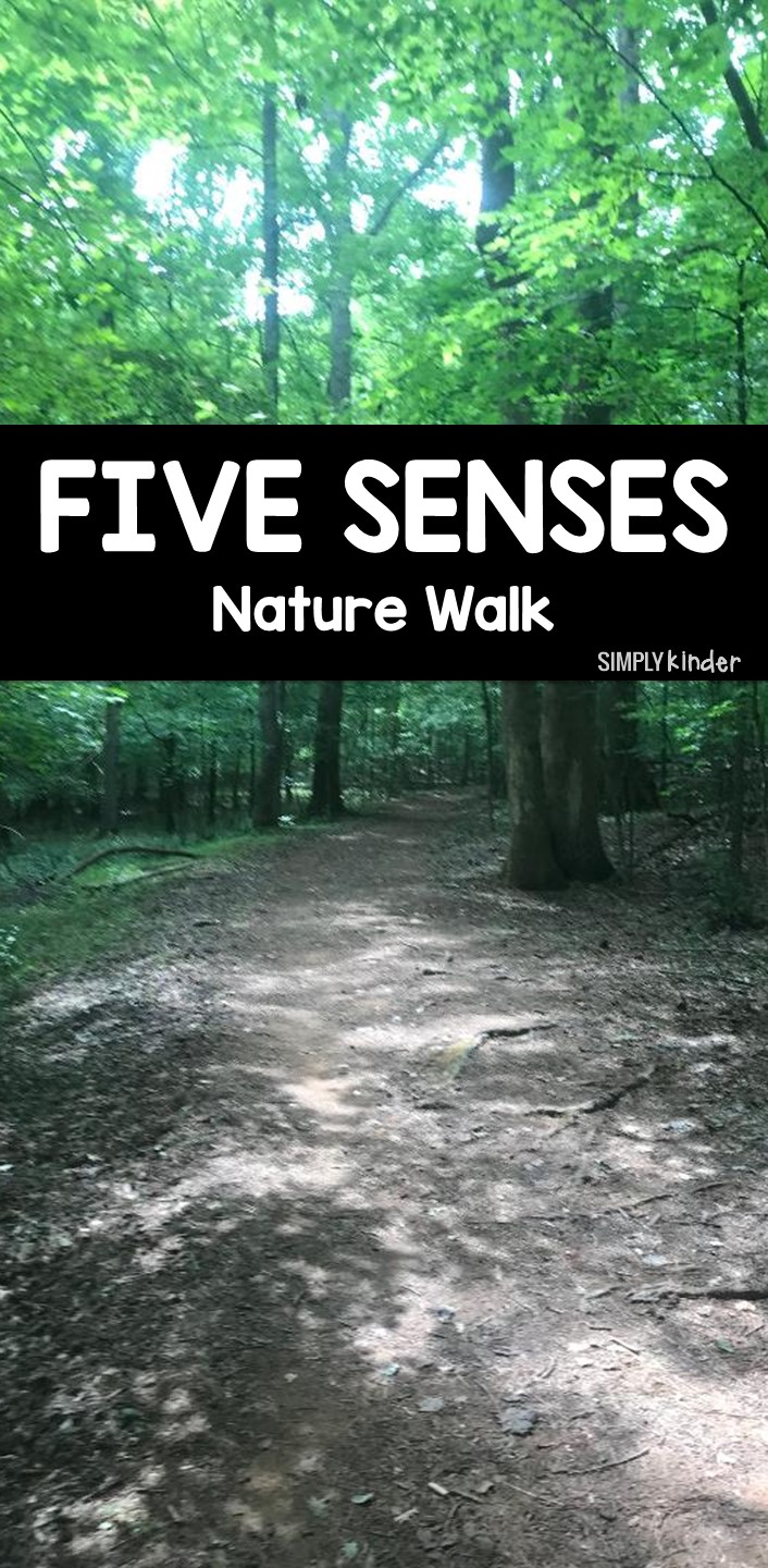 Five Senses Nature Walk - Kinder