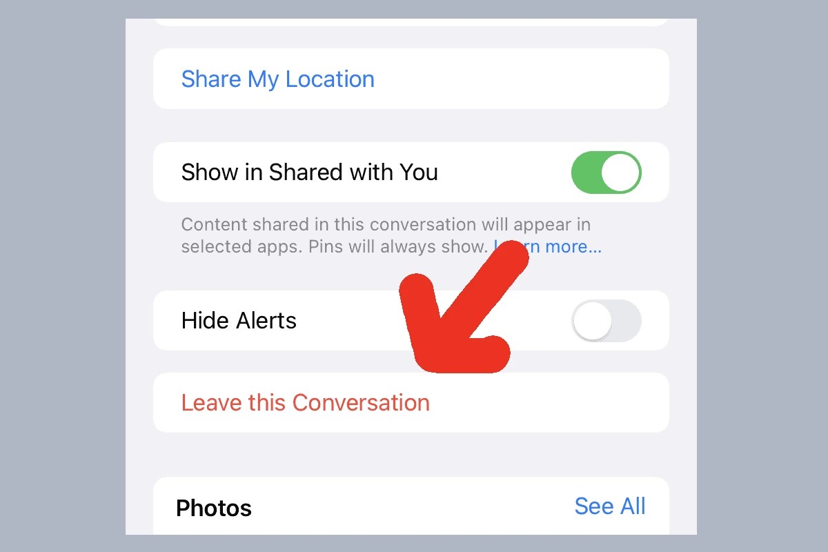 How To Leave an iMessage Group Chat (And Other Tips) SimplyMac