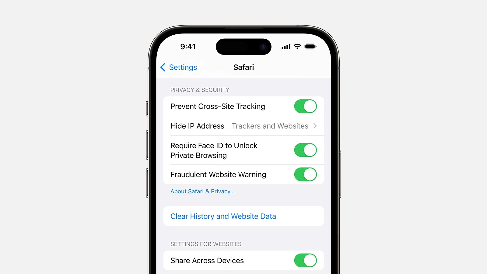 'Clear History and site Data' On Safari Greyed Out SimplyMac