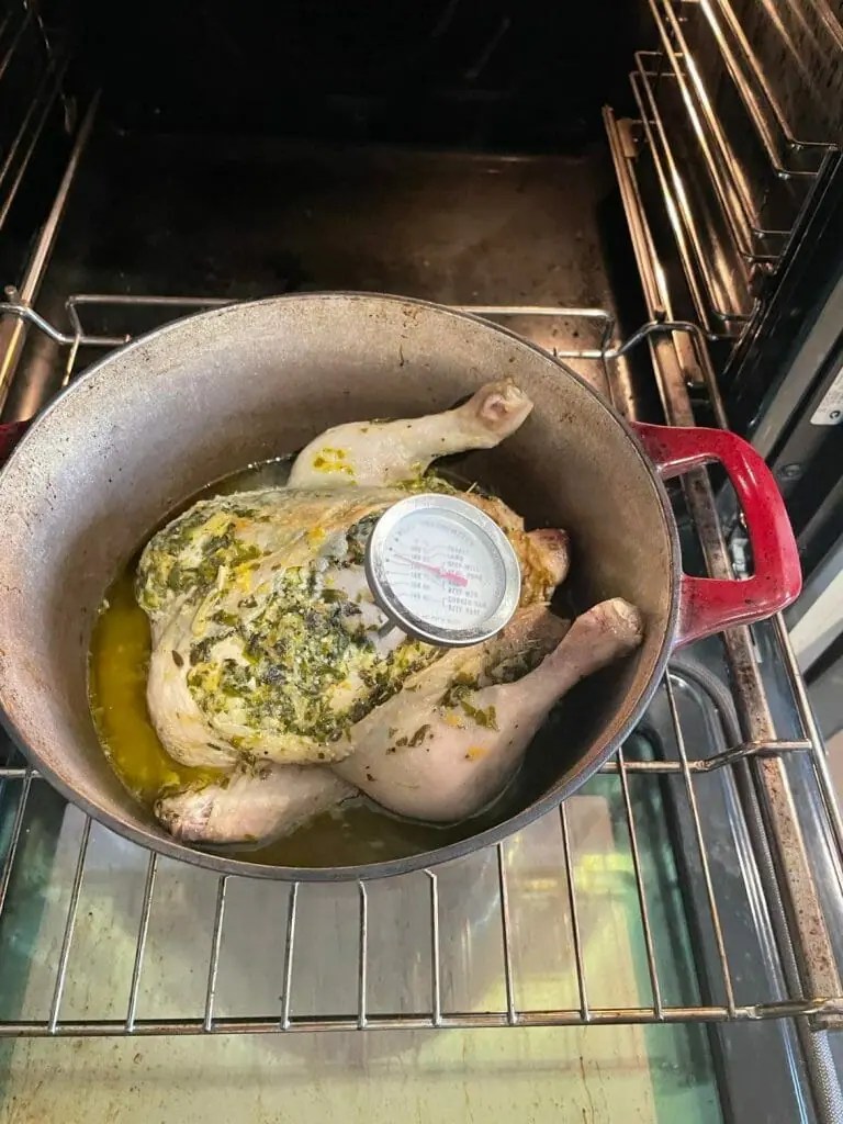 Where to Place a Temperature Probe in a Whole Chicken? Simply Meat