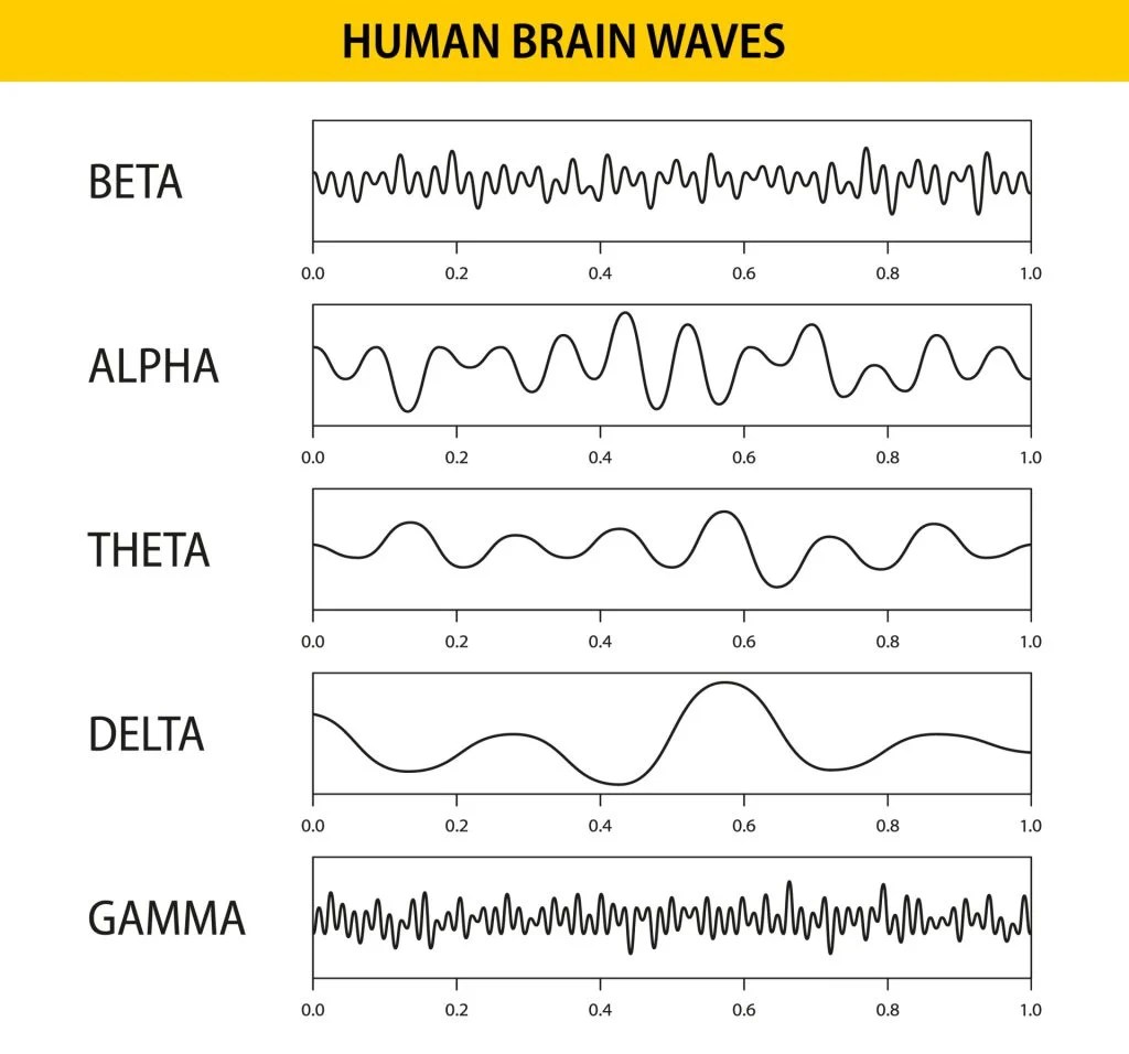 EEG (Electroencephalogram) Purpose, Procedure, and Risks