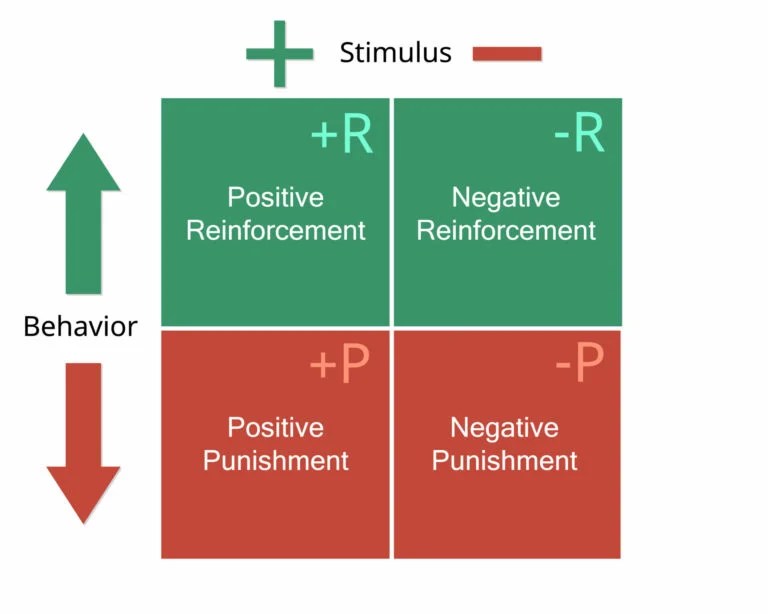 Positive Reinforcement What Is It and How Does It Work?