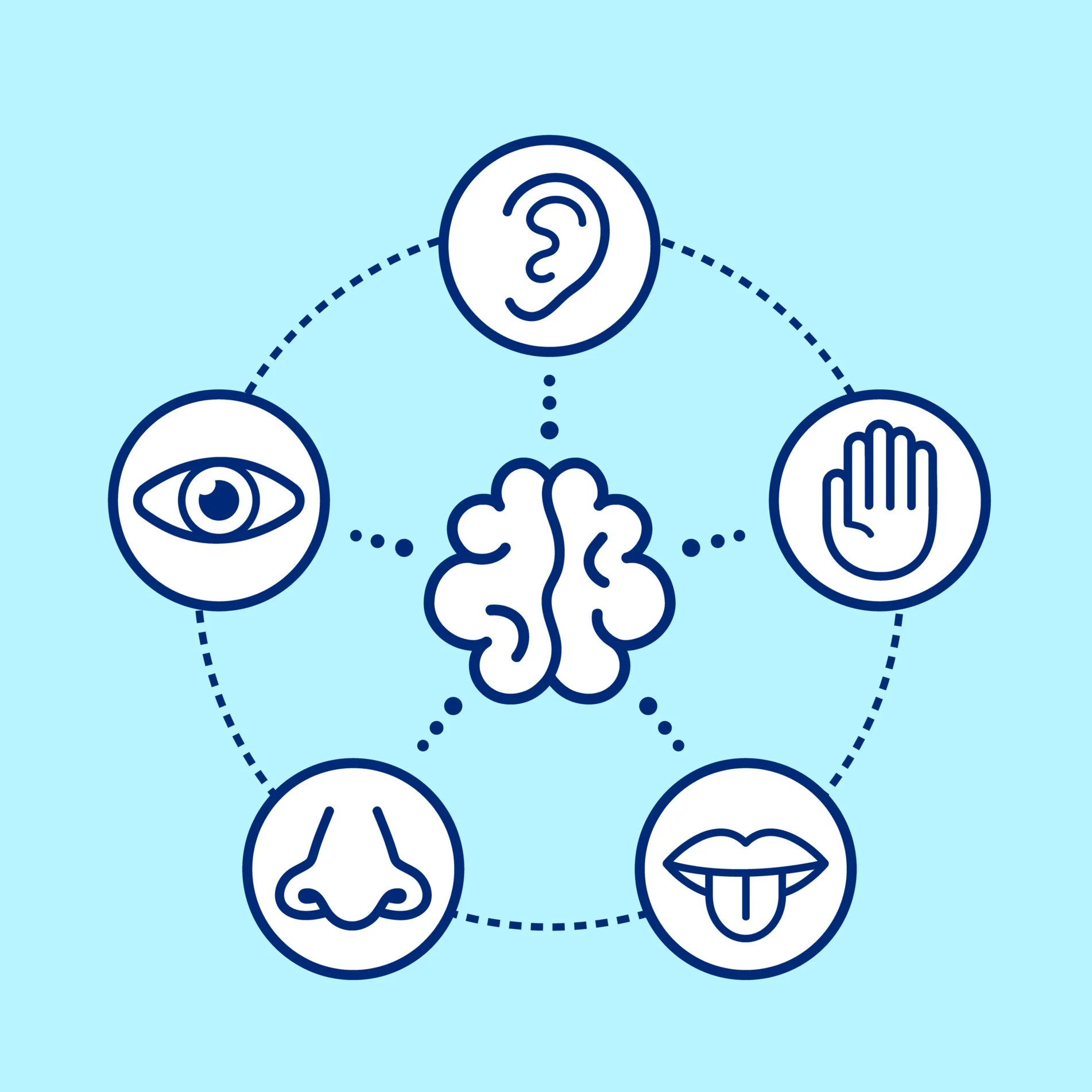 Sensory Memory In Psychology Definition & Examples
