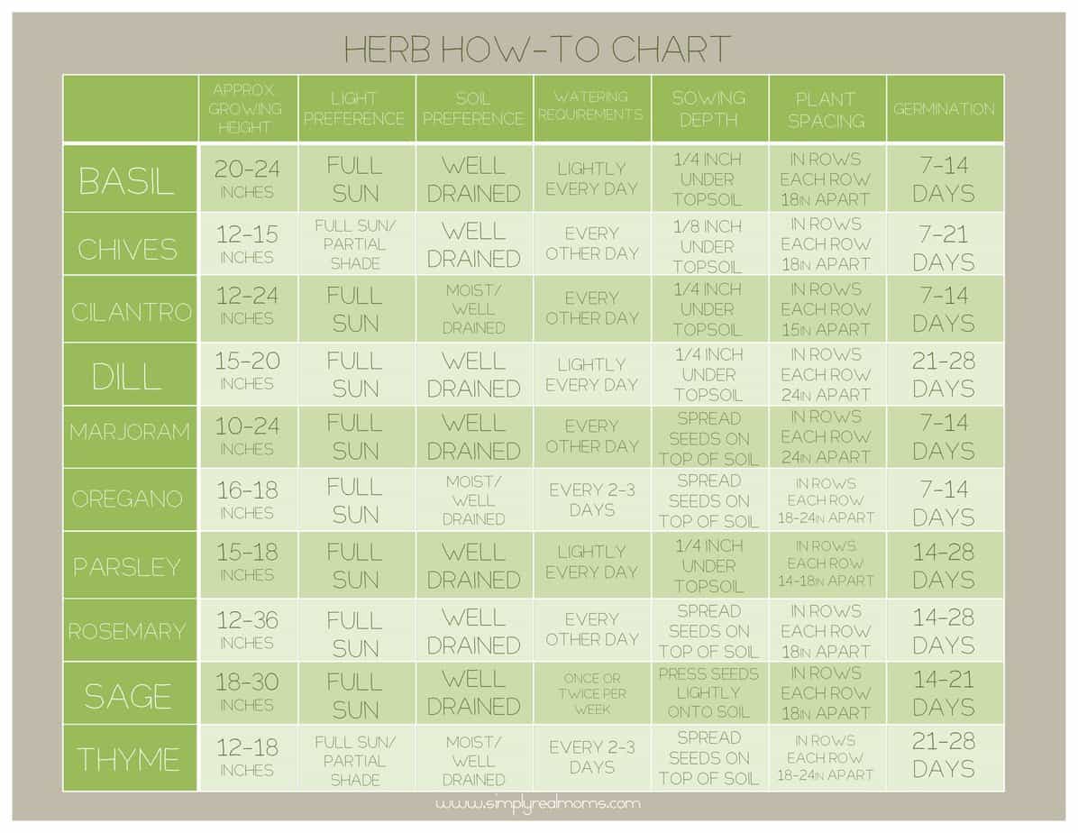 Herb How-To Growth Chart: Free Printable! - Simply Real Moms