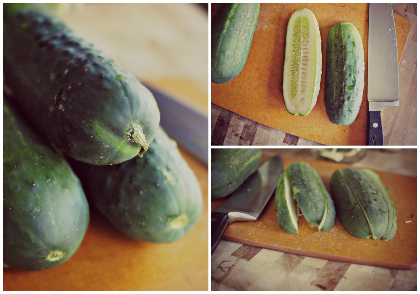 Simply Scratch Easy Homemade Sour and Spicy Dill Pickle Spears Simply