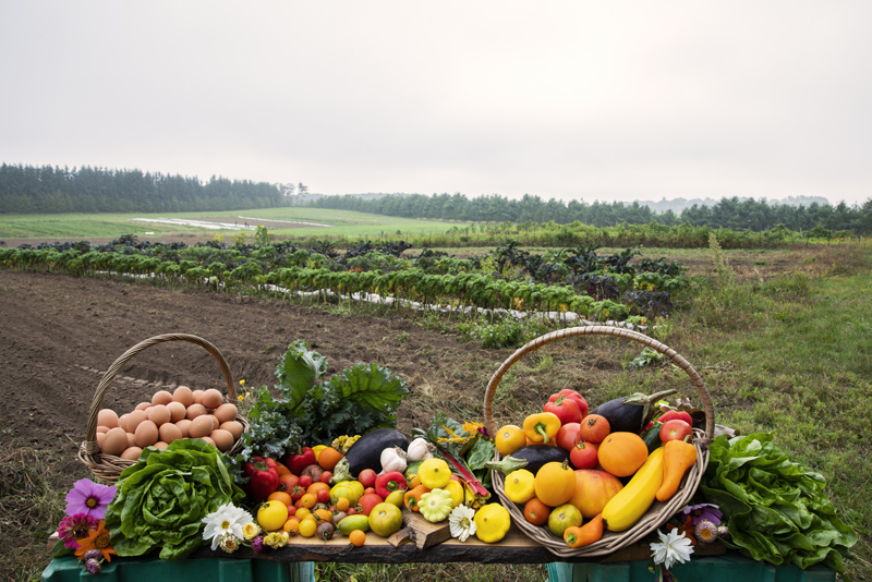 Fall City Simpson Group Real Estate