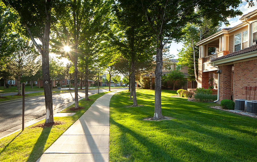 Community Amenities The Meadows at Meridian Apartments