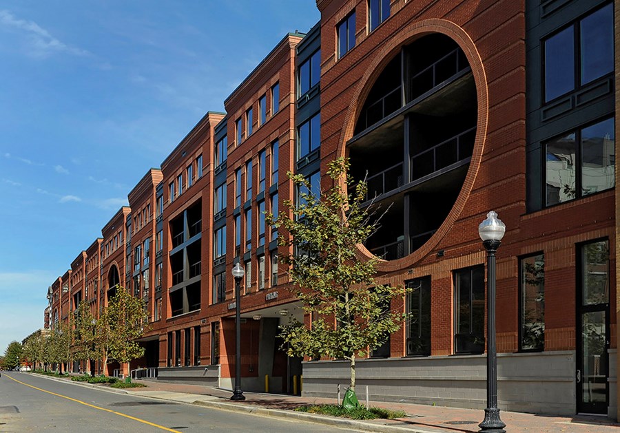 Apartments for Rent in Arlington, VA Zoso Flats Gallery