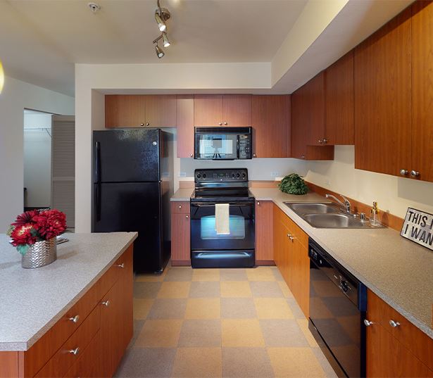 Videos & Virtual Tours Seattle Apartments in WA Neptune SLU Apartments