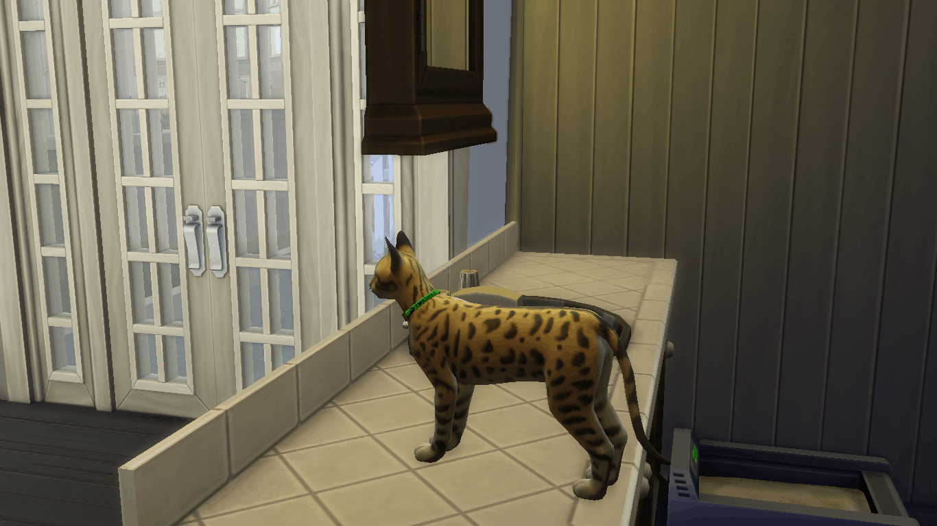 Service Cat Collars Sims 4 Mod Download Free