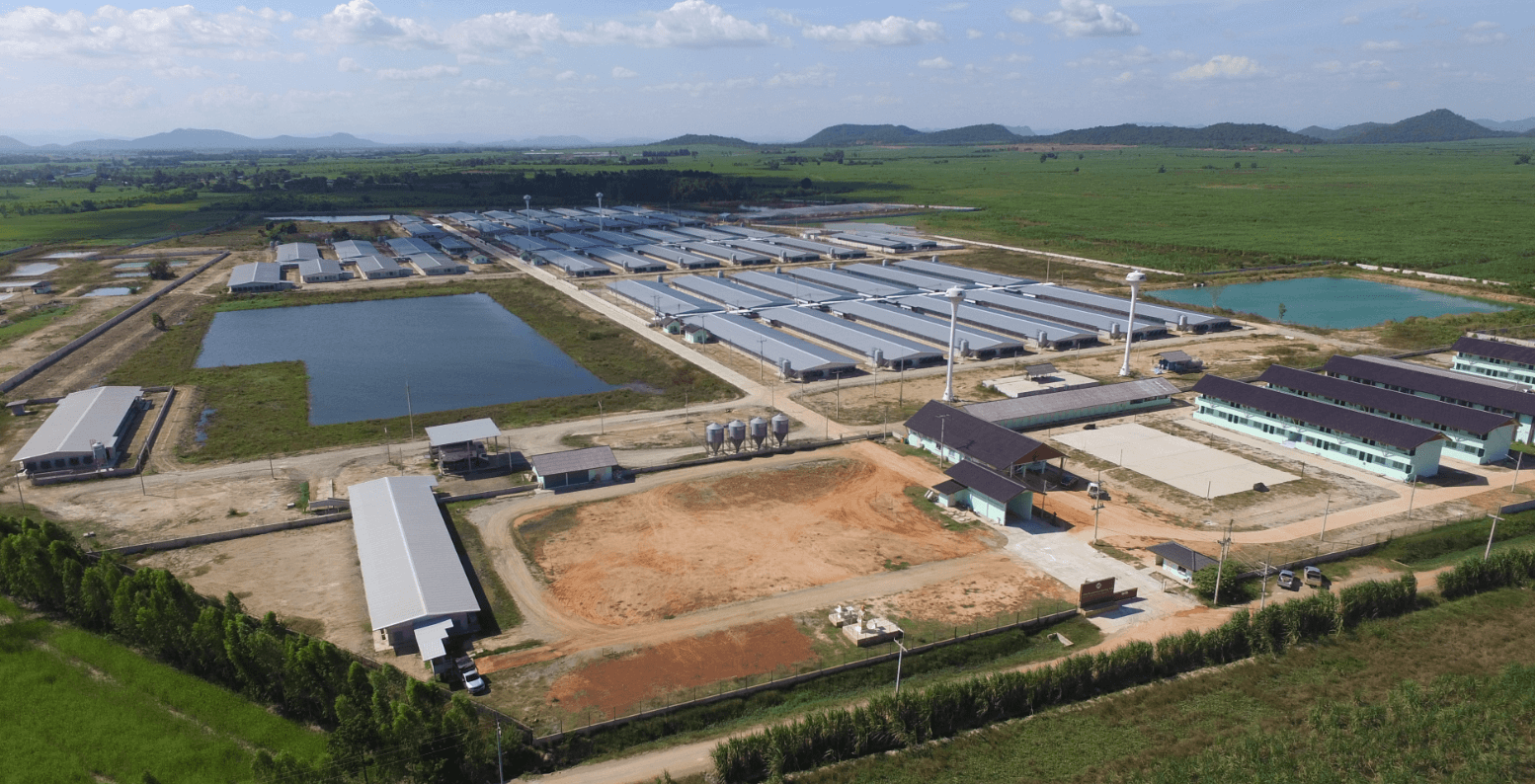 Plastic slatted floor for pigs Supplier