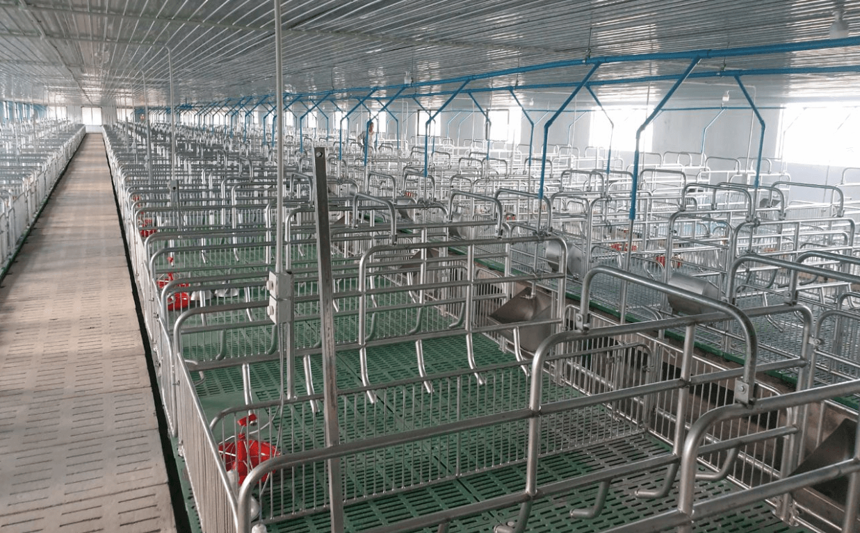 Plastic slatted floor for pigs Supplier