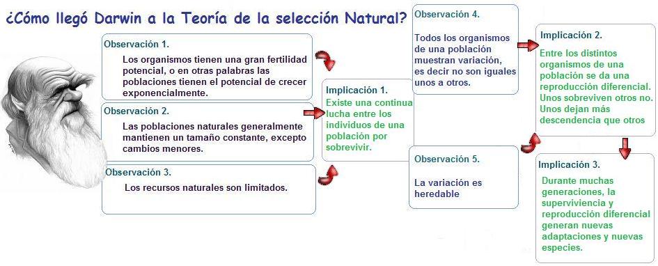 Darwin, el genio de los orígenes, Parte 1. Taringa!