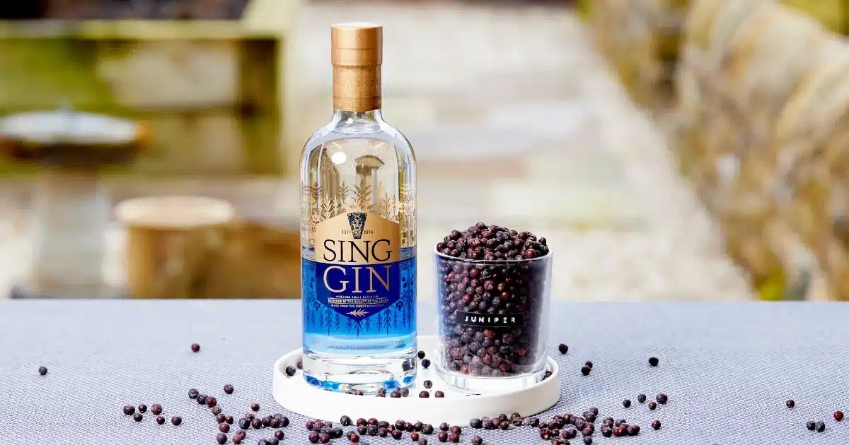 Juniper In Gin What’s The Story? Sing Gin