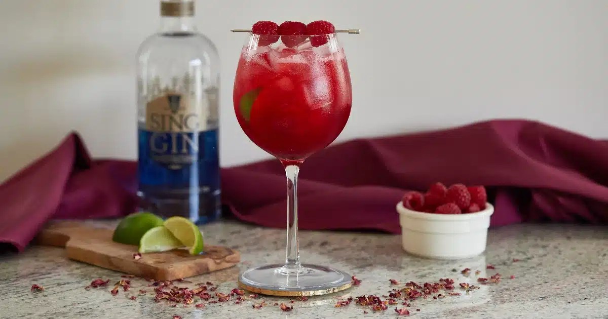 12 Best Mixers For Gin Sing Gin