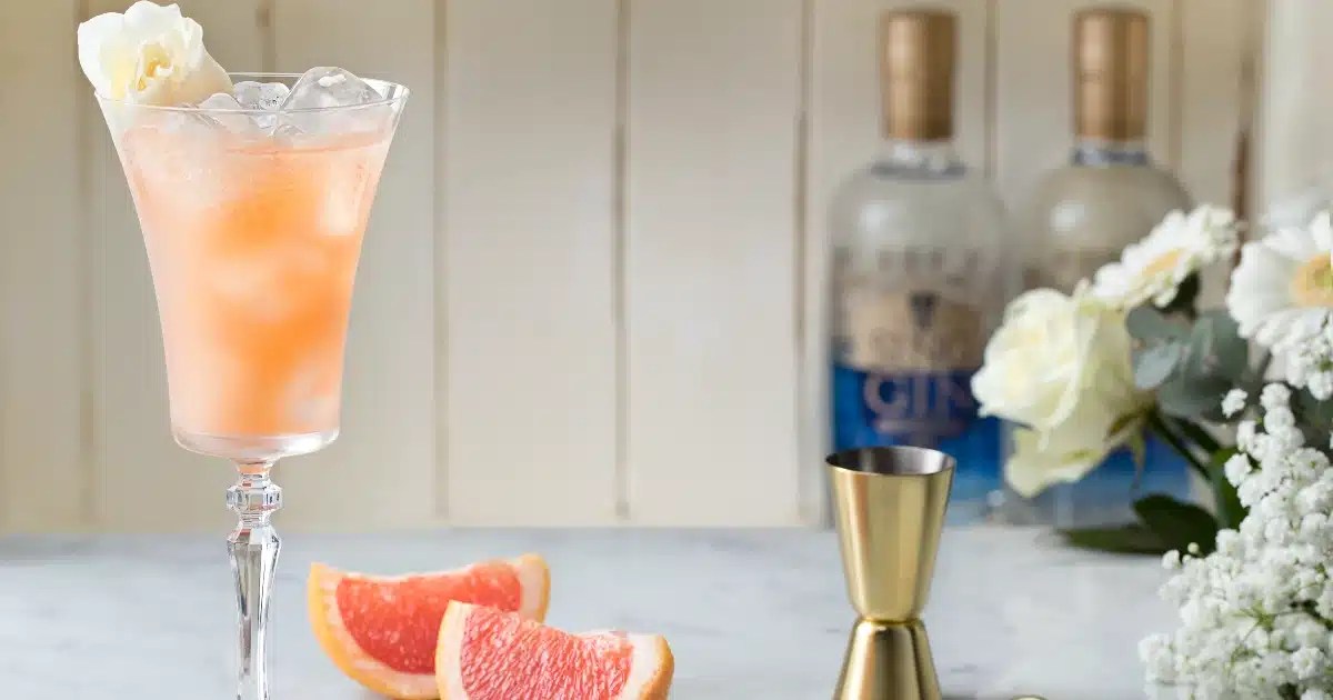 12 Best Mixers For Gin Sing Gin