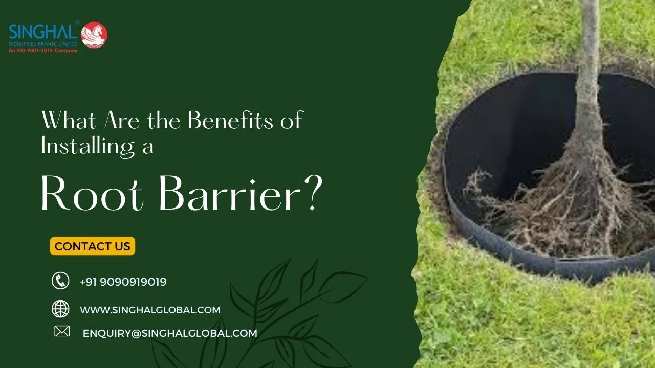 What Are the Benefits of Installing a Root Barrier?
