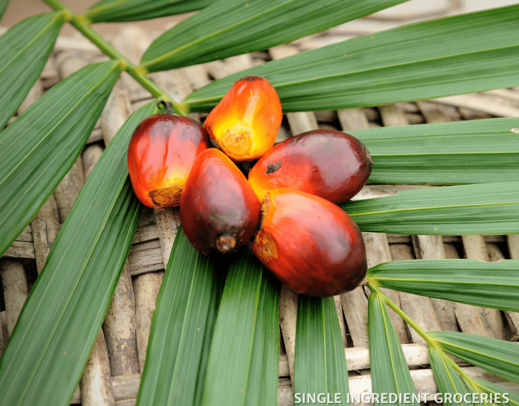 Is Palm Oil Vegan Friendly and Good For You? [Infographic]