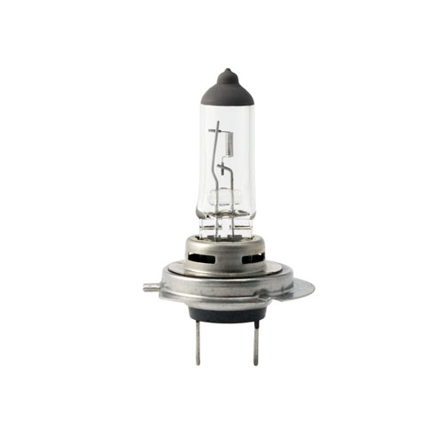 Halogen Bulb H7 12V 100W Singtech Singapore Vehicle Parts