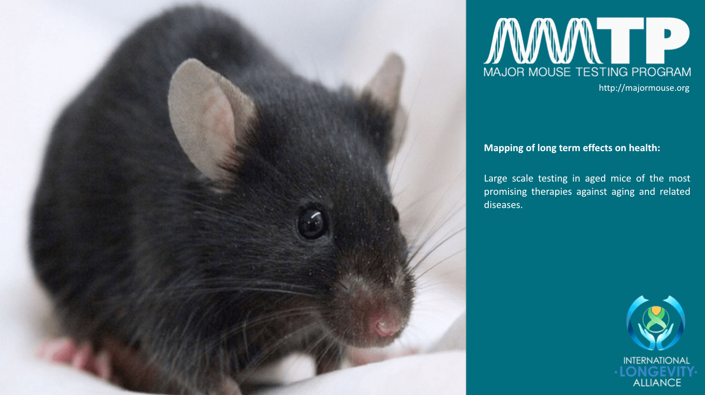 Major Mouse Testing To Fast Track Regenerative Medicine